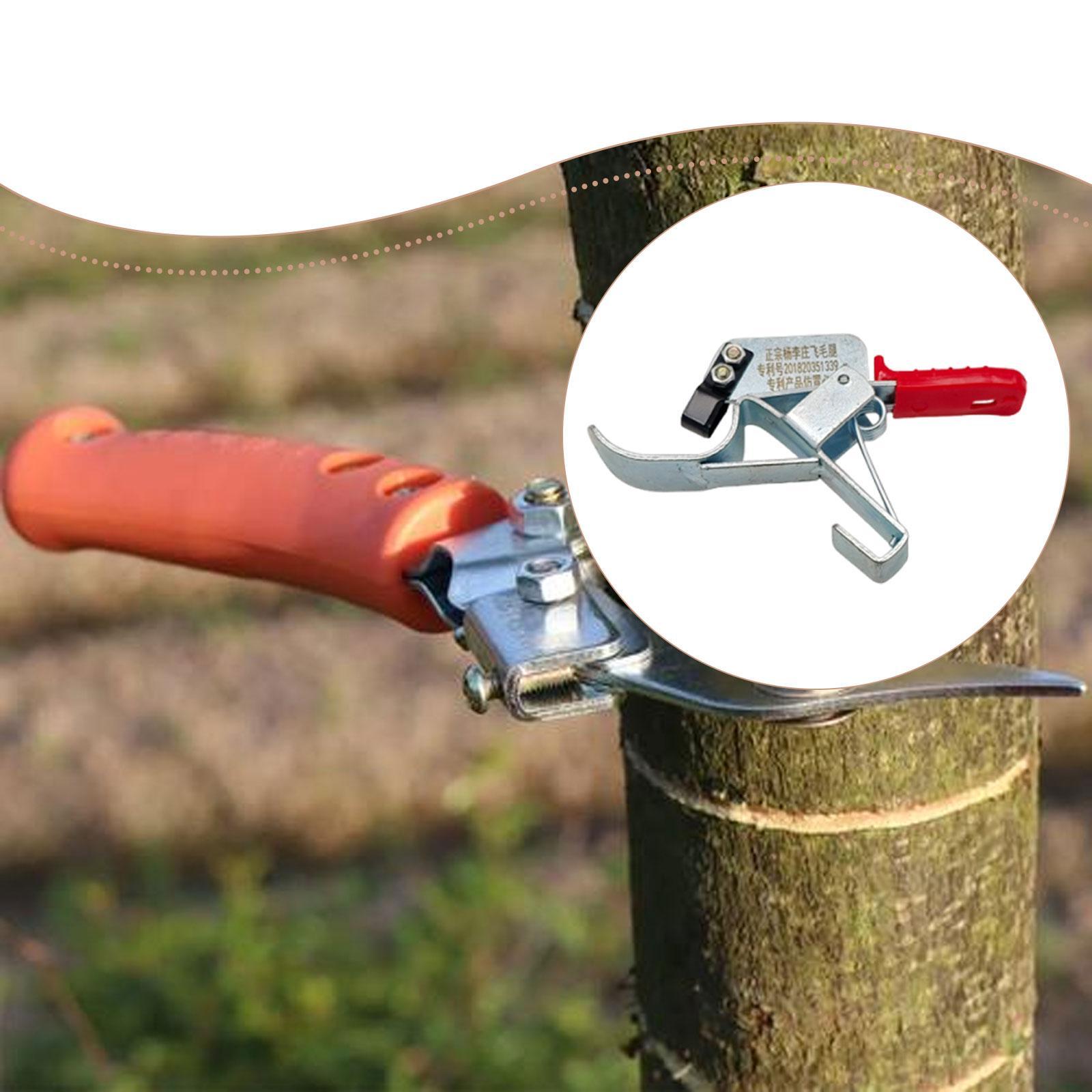 Gardening Tools Essential - Fruit Tree Girdling Tool, Essential Practical,