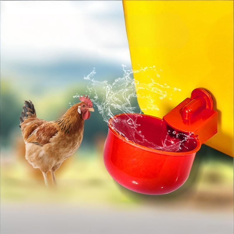 Fertilizer Dispenser - * 10/20Pcs Chicken Duck Drinking Cup