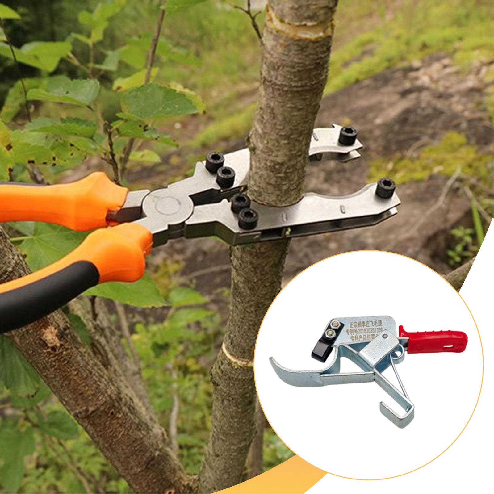 Fruit Tree Girdling Tool, Esse - огляд і ціна Gardening Tools Essential