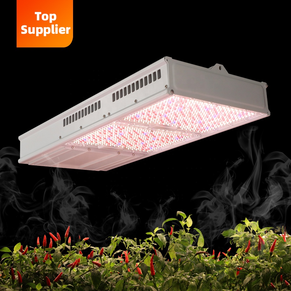 Cost-Effective 600W 800W Topli - огляд і ціна Led Grow Light