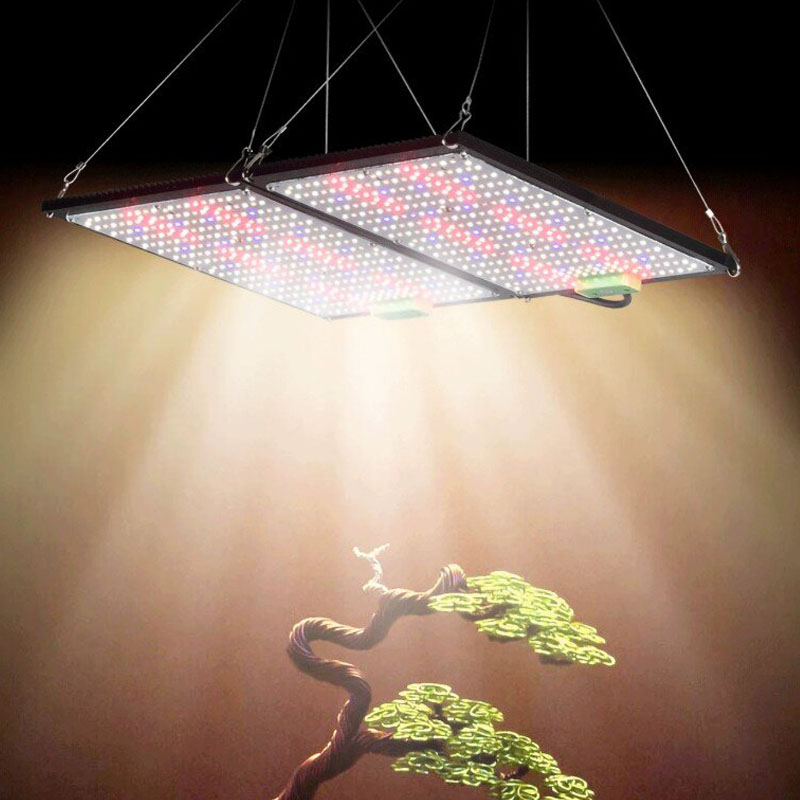 LED Quantum‑Board Grow Light F - огляд і ціна Led Grow Light