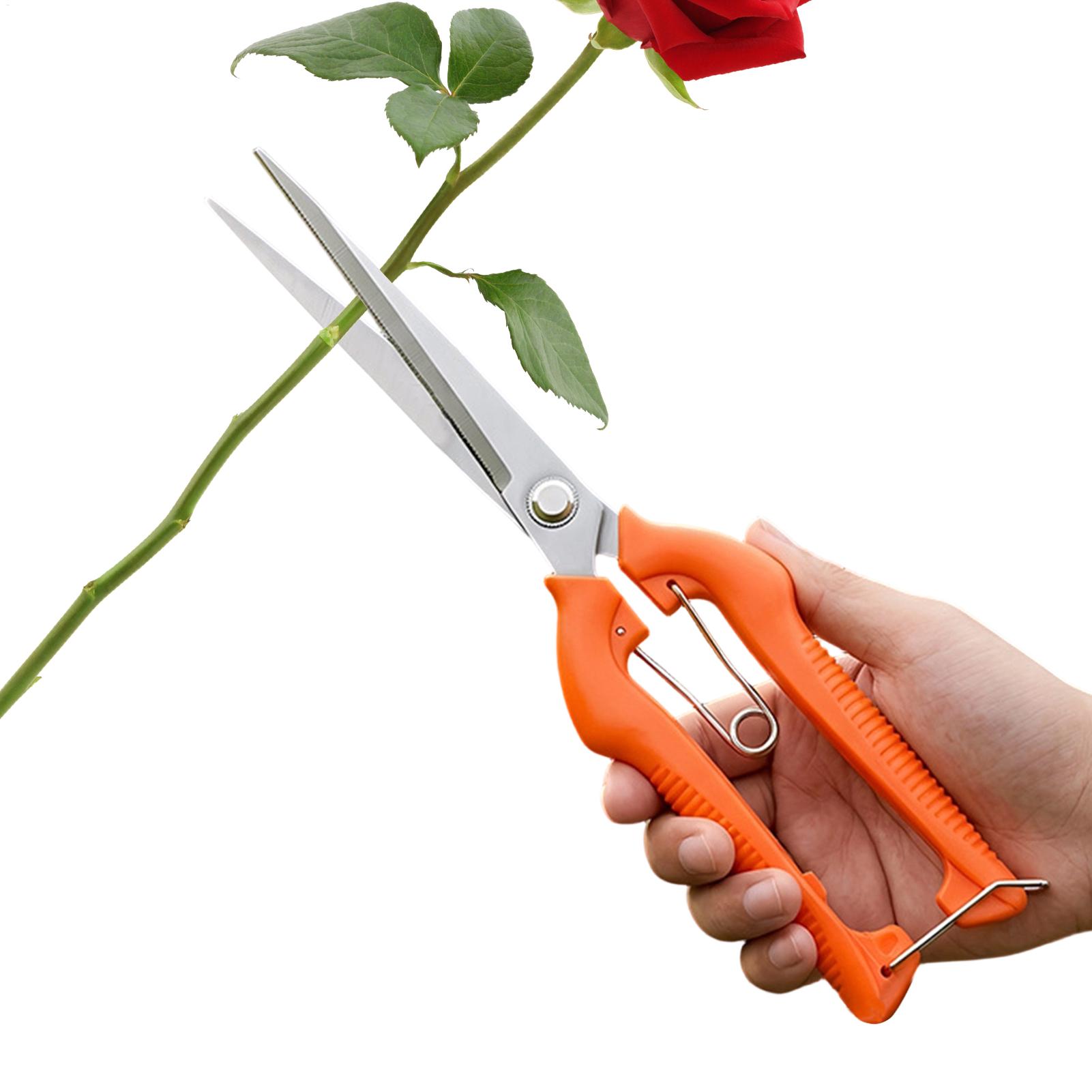 Pruning Shears Grape Scissors  - огляд і ціна Gardening Tools Women