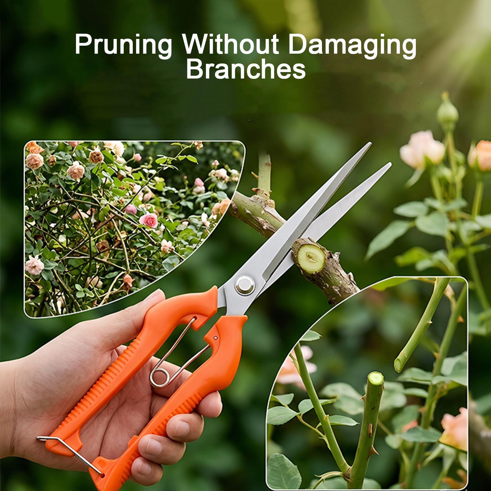 Pruning Shears Grape Scissors  - огляд і ціна Gardening Tools Women