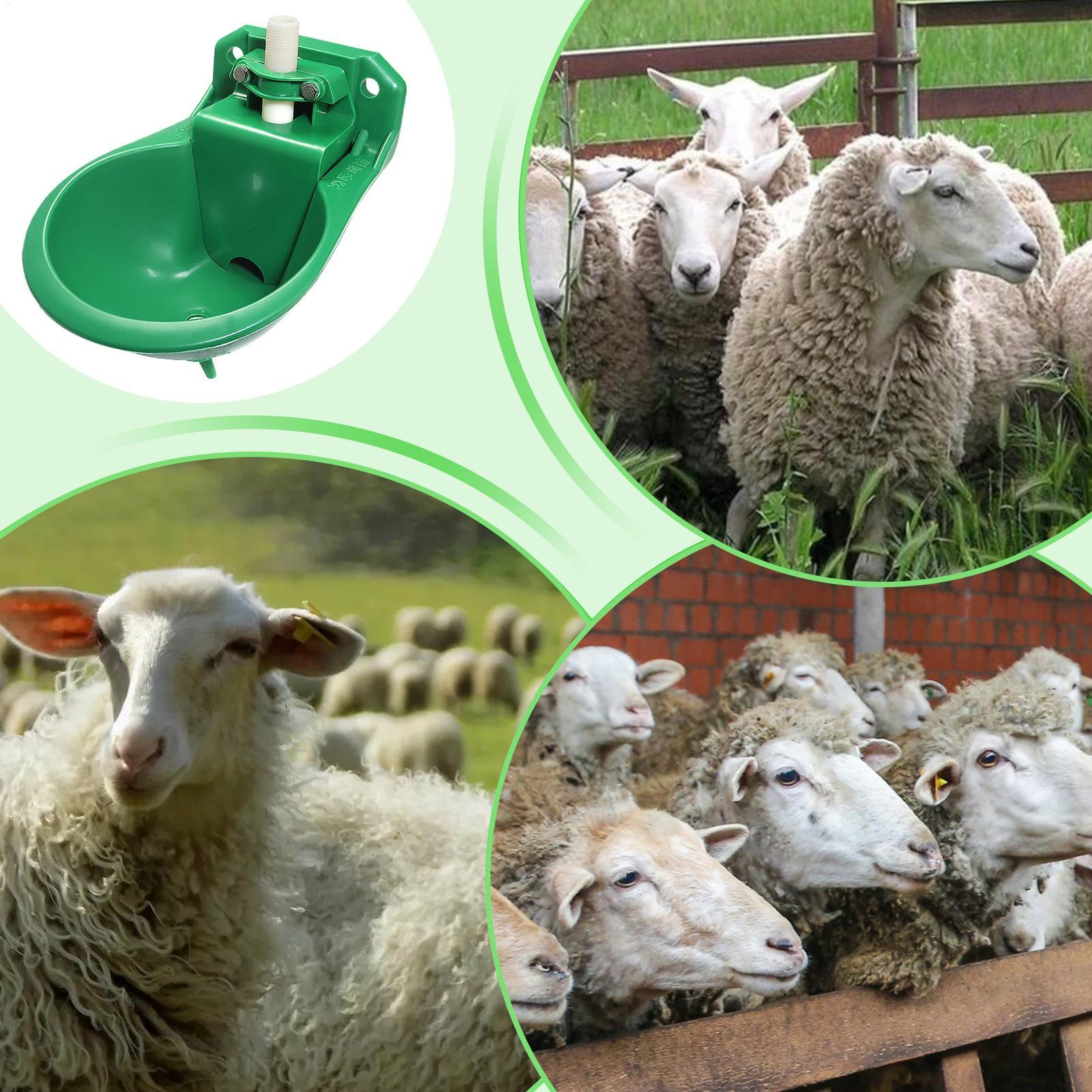 Horse Water Drinker Bowl With  - огляд і ціна Gardening Tools Women