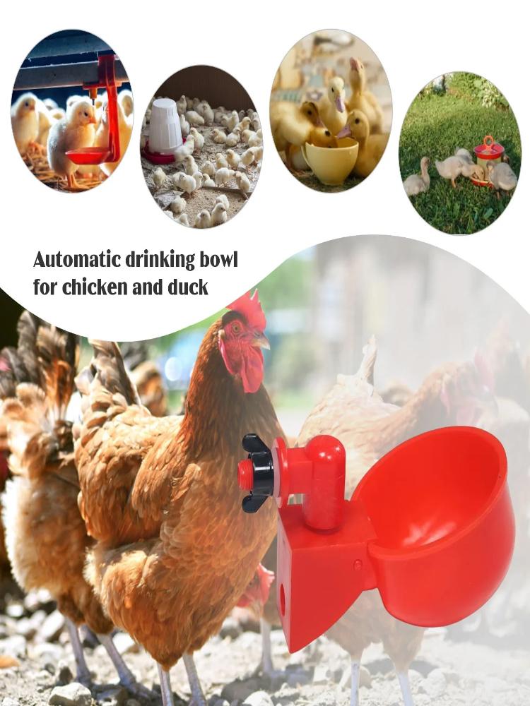 * 10/20Pcs Chicken Duck Drinki - огляд і ціна Fertilizer Dispenser