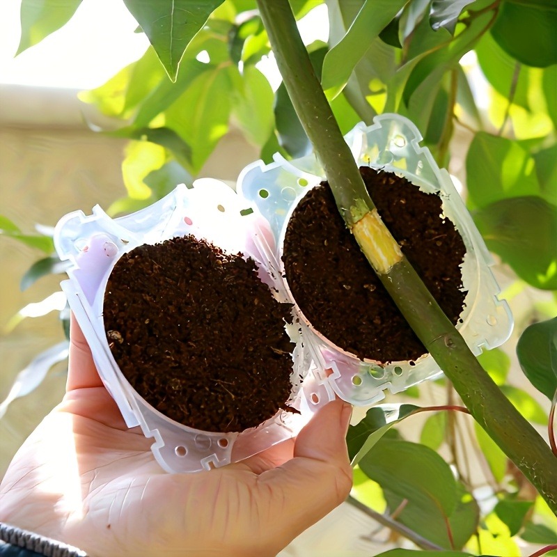 10Pcs High Pressure Plant Root - огляд і ціна Gardening Tools Box
