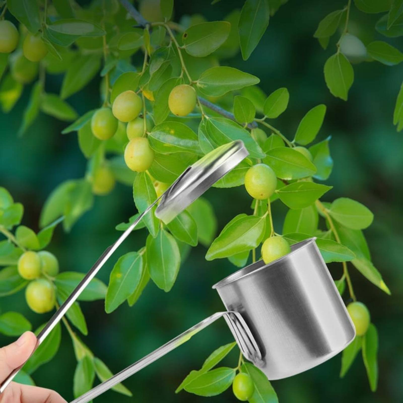 Cup Fruit Picker Stainless Ste - огляд і ціна Gardening Tools Uses